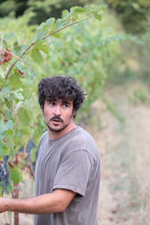 Les Vignes d'Olivier