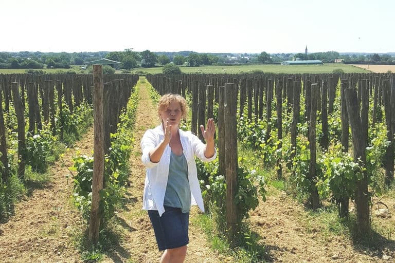 Domaine Les Terres Bleues